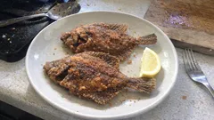 少ない油で外カリ中ふっくら：簡単「カレイの唐揚げ」レモン仕上げ